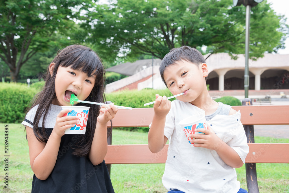 帳面 伝導 競争力のある 子供 かき氷 半導体 食器棚 裁判所
