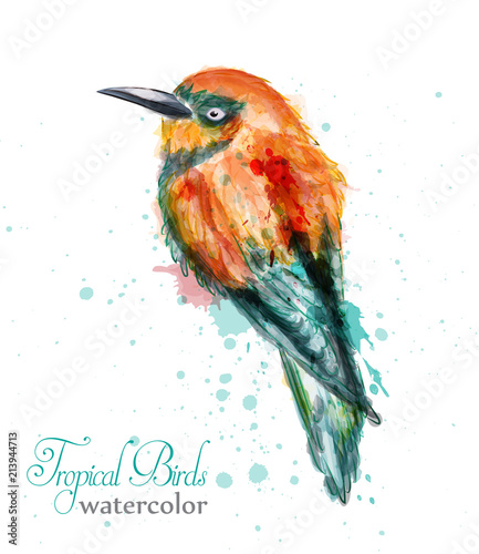 Kingfisher or bee-eater tropic bird in watercolor Vector