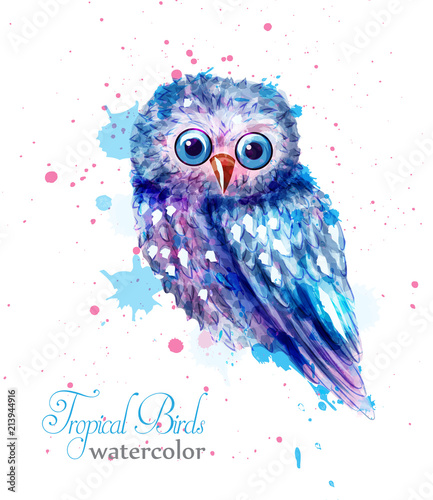 Owl bird colorful watercolor Vector. Blue cute bird with paint stains background