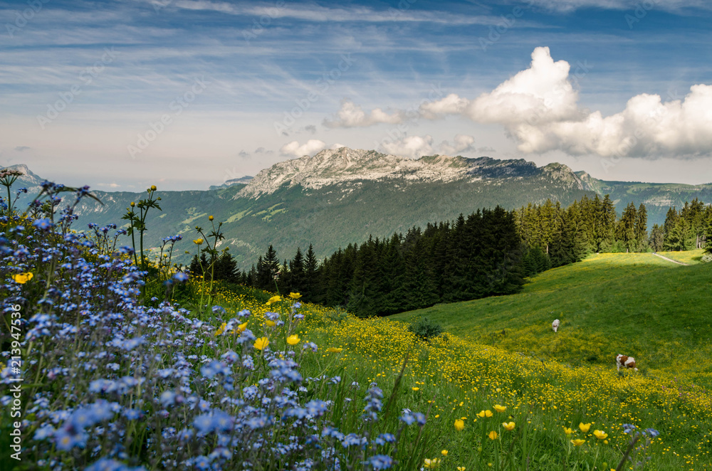 La Tête du Danay - Haute-Savoie