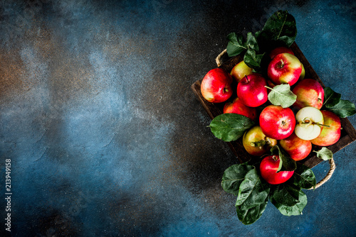 Raw fresh apples on dark blue background, copy space