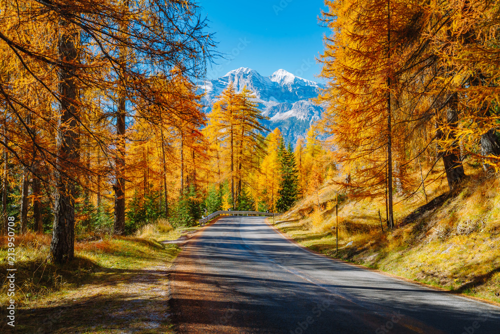 Magical yellow larches. Location place Dolomiti Alps, Cortina d'Ampezzo, Italy, Europe.