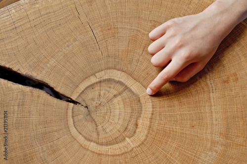 time for training education, counting annual rings on the tree