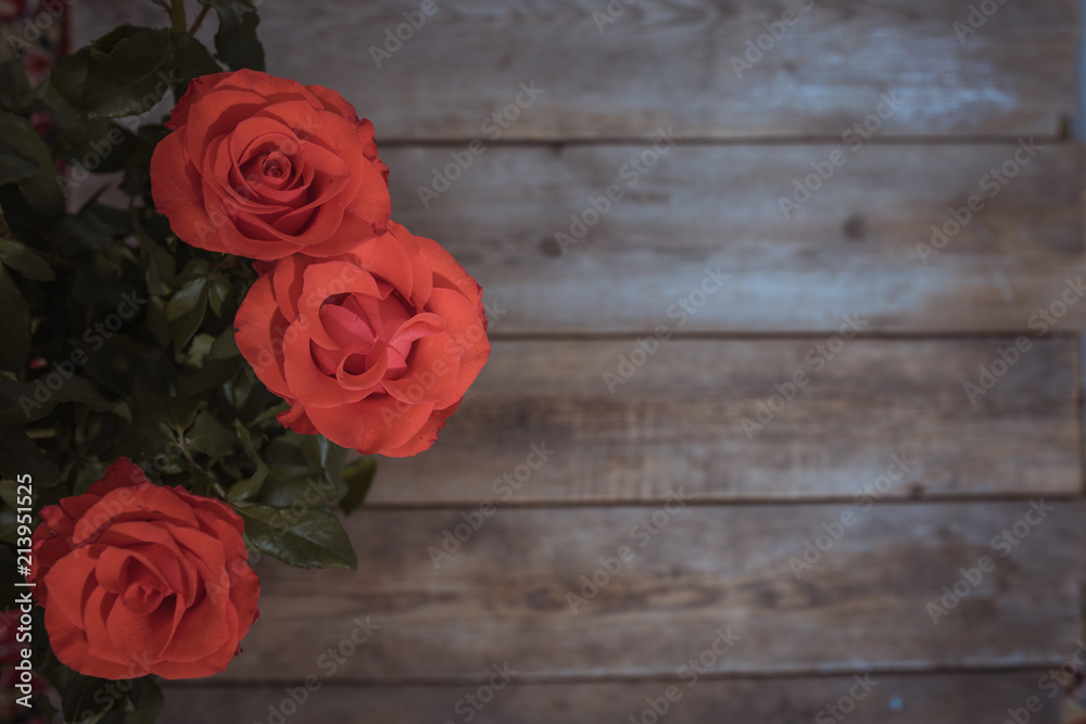 Home red roses on a wooden table flat lay. Copy space Home red roses on a wooden table flat lay. Copy space