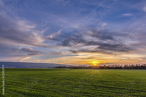 Vivid spring sunset scene. Landscape with large green field and beautiful clouds. Warm, peaceful, quiet. © janstria