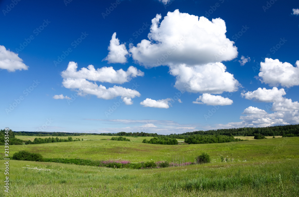 Summer landscape with the meadows of green grass on the hills and clouds