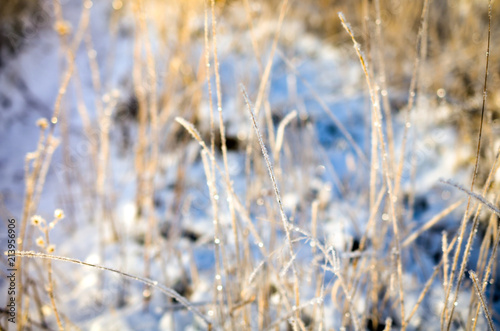 frosty snow landscape at sunny day