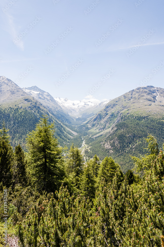 Obraz premium Pontresina, Val Roseg, Roeggletscher, Sellagletcher, Piz Sella, Piz Bernina, Sellagruppe, Bernina, Wanderweg, Oberengadin, Alpen, Sommer, Graubünden, Schweiz