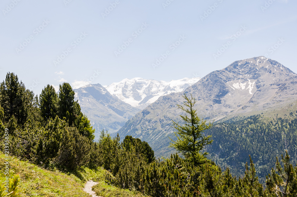 Pontresina, Diavolezza, Piz Palü, Muottas Muragl, Wanderweg, Panoramaweg, Gletscher, Alpen, Oberengadin, Graubünden, Sommer, Schweiz