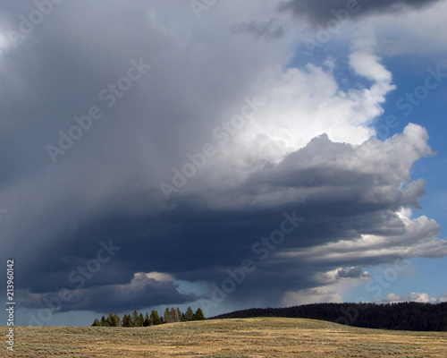 Storm Over Yellowstone