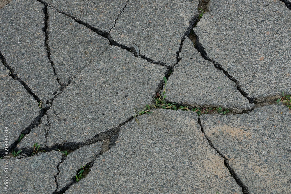 Fototapeta premium gray texture of asphalt on the road with cracks