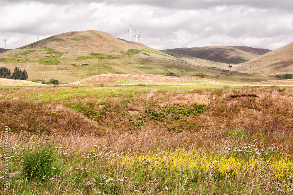Fototapeta premium View over hills in Glen Devon. Wind turbines at a distance