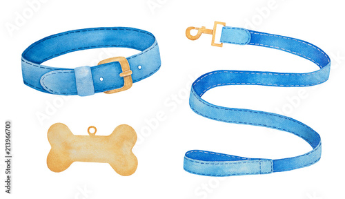 Pet Supplies and Walking Gear Collection: buckle collar, lead and bone shaped identification tag. Colorful simple modern design. Watercolor painting on white background, cut out clip art elements.