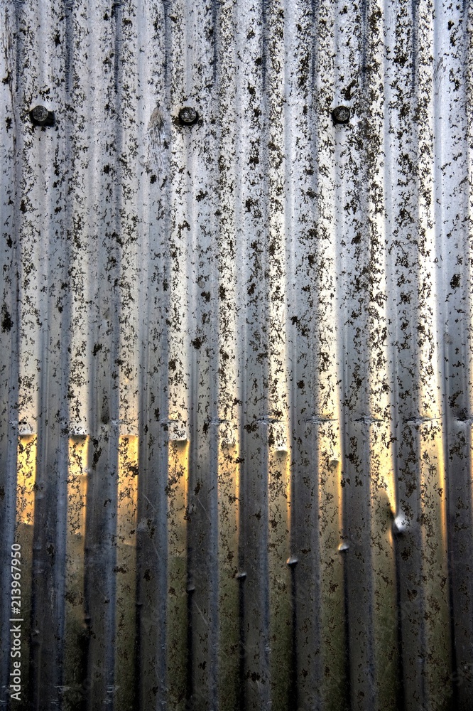 Grain elevator metal sunset