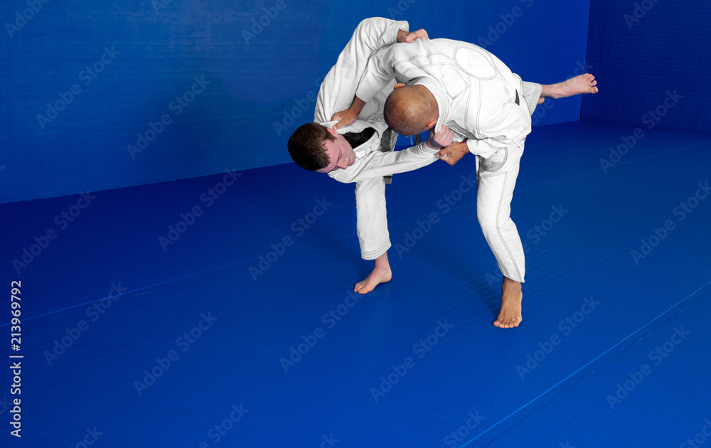 Brazilian Jiu-Jitsu Self Defense Two Man Fighting Brazilian Jiu-Jitsu Self Defense Two Man Fighting