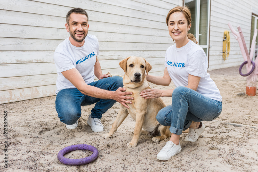 smiling volunteers of animals shelter squatting and palming labrador smiling volunteers of animals shelter squatting and palming labrador
