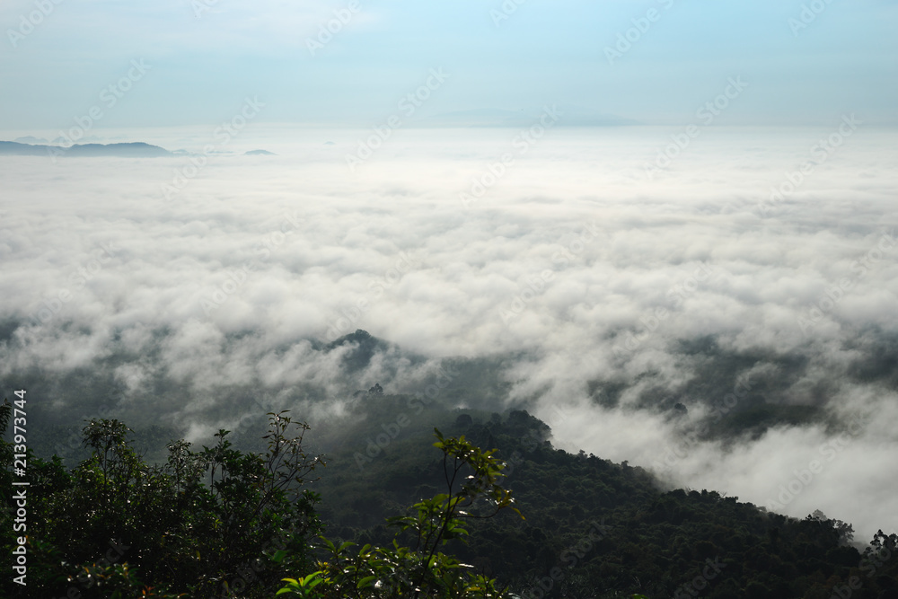 Hill view of ocean fog in day time