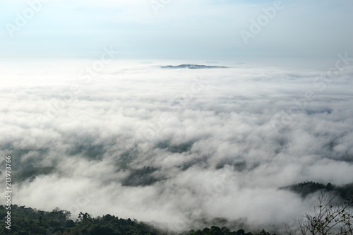 Hill view of ocean fog in day time