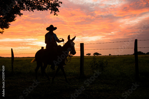  landscapes with riders, horses and mules at sunrise and sunset in the eastern plains of Colombia; llaneros performing their tasks apart from livestock and grazing