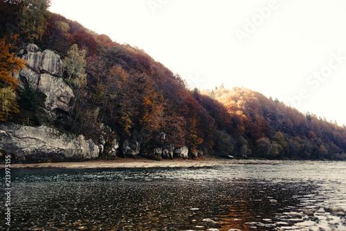 beautiful amazing autumn woods and river in sunlight, breathtaking landscapes in ukrainian mountains, national park