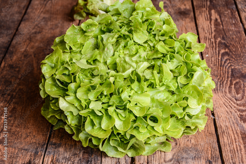 Salatkopf Eichblatt auf Holztisch Rustikal Salatkopf Eichblatt auf Holztisch Rustikal