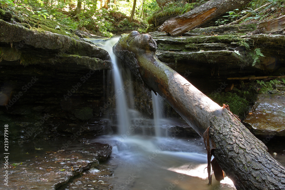 Fototapeta premium small waterfall in the forest