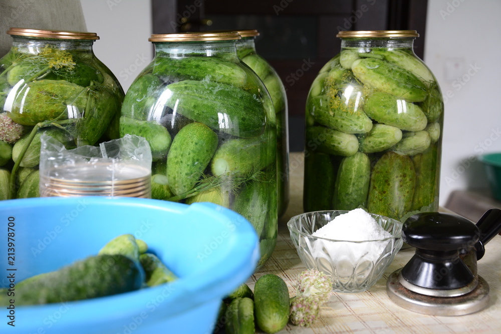 Preserved cucumbers at home and from their city of cucumbers Preserved cucumbers at home and from their city of cucumbers