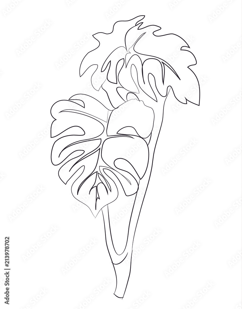 Fototapeta premium branch of a flower, lines, vector,