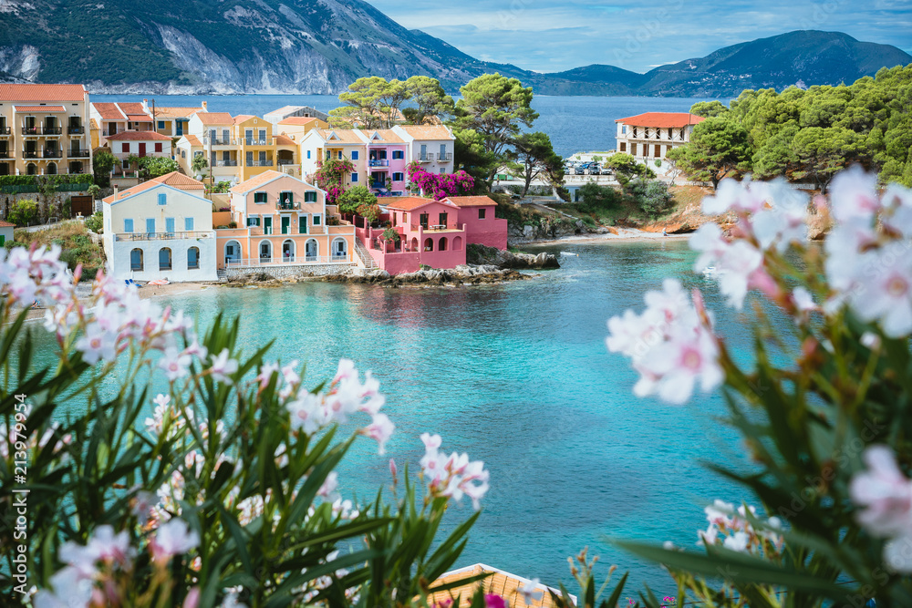White and lilac flower blossom in front of turquoise colored bay in Mediterranean sea and beautiful colorful houses in Assos village in Kefalonia, Greece