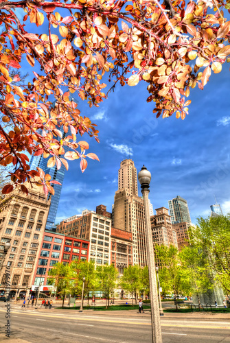 Michigan avenue framed by autumnal leaves.