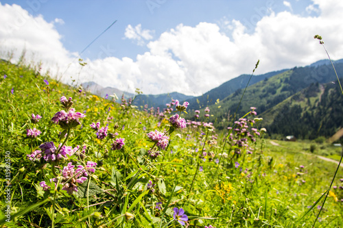 Mountains landscape of the Kaskelen gorge in the Tien-Shan Mountains  Almaty  Kazakhstan