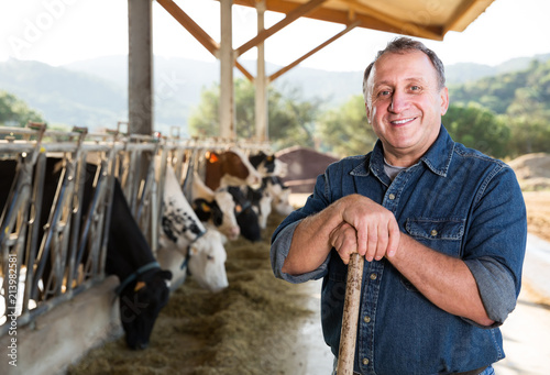 Fototapeta male farmer posing against background of cows in stall
