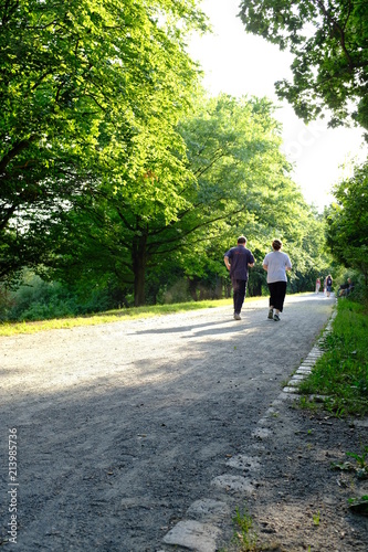 Wallpaper Mural An elderly couple is walking in a park  Torontodigital.ca