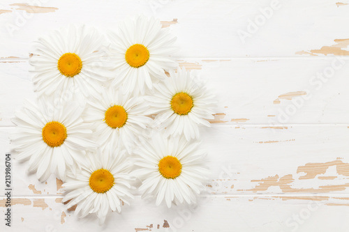 Garden chamomile flowers on wooden background © karandaev