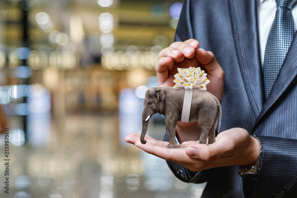 Elephant with bow on the back in the hand of a businessman.
