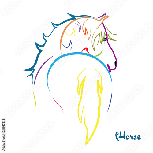 Beauty colorful horse logo vector