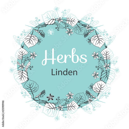 Hand-drawn round frame with linden flowers, herbs .Design for herbal tea,cosmetics,beauty salon, natural and organic products.