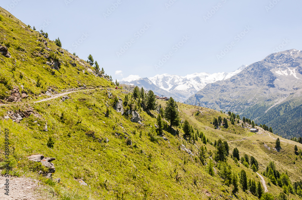 Pontresina, Piz Palü, Diavolezza, Persgletscher, Wanderweg, Panoramaweg, Muottas Muragl, Bernina, Berninagruppe, Oberengadin, Engadin, Graubünden, Alpen, Sommer, Schweiz