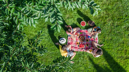 Happy family having picnic in park, parents with kids sitting on grass and eating healthy meals outdoors, aerial view from above
