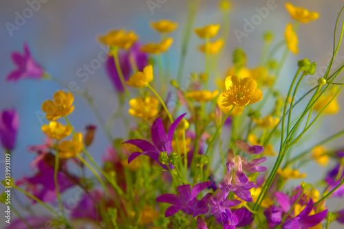 A bouquet of wild flowers. © fotych