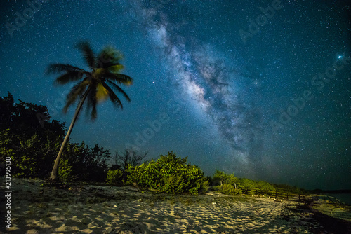 milk way in the night sky over a deserted beach with palm trees in Cuba