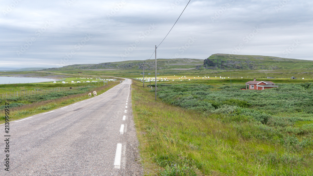 Road along the sea Road along the sea