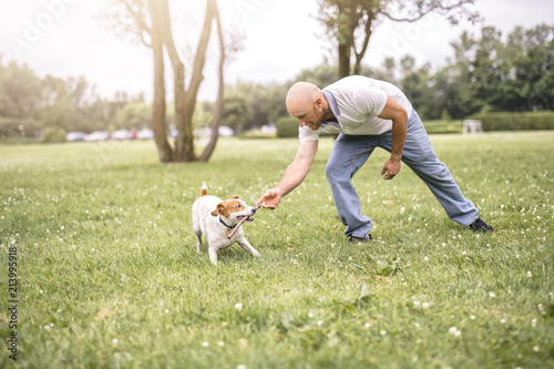 Man play with his Beagle dog on a field at summer time photo
