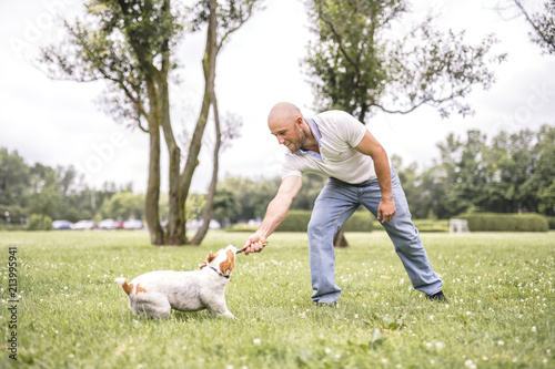 Man play with his Beagle dog on a field at summer time photo