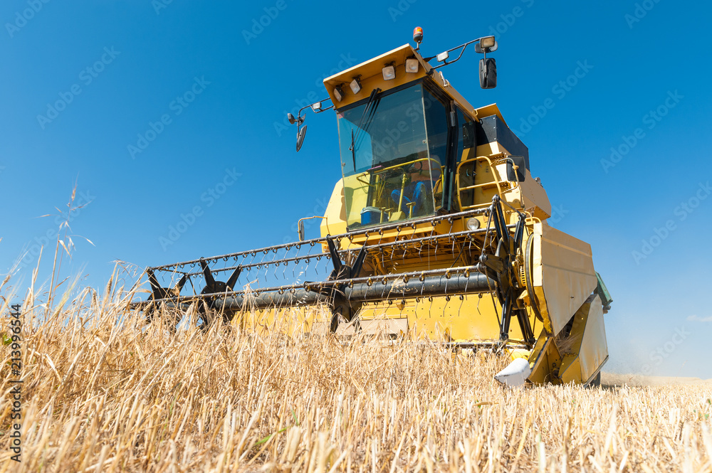 Fototapeta premium Harvester performing mowing tasks in the field.