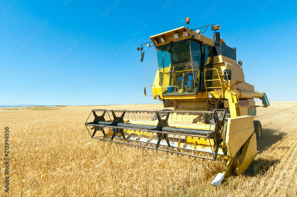 Fototapeta premium Harvester performing mowing tasks in the field.