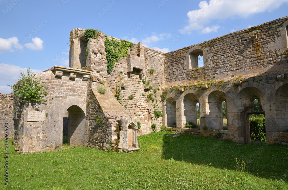 RUINE DU PRIEURÉ DE SAINT JEAN DE BONSHOMMES (13éme Siècle) SAUVIGNY LE BOIS Yonne BOURGOGNE FRANCE