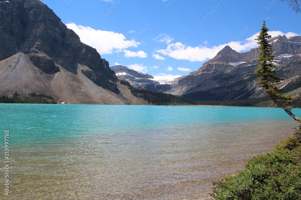 Beauty On Bow Lake, Banff National Park, Alberta