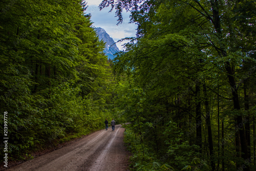 Fototapeta premium Road in the Alps