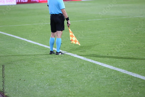 Linesman soccer referee with flags © fotosr52